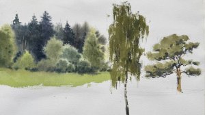 Как нарисовать деревья акварелью? Урок рисования для начинающих взрослых от Ольги Кабаевой