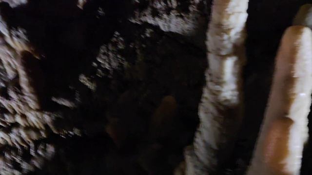 Абхазия! Новоафонская пещера! 25.09.24 смотреть онлайн