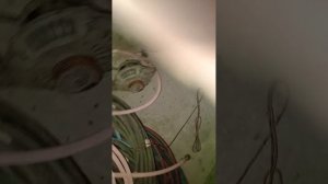 собрать генератор не ломая щёток.