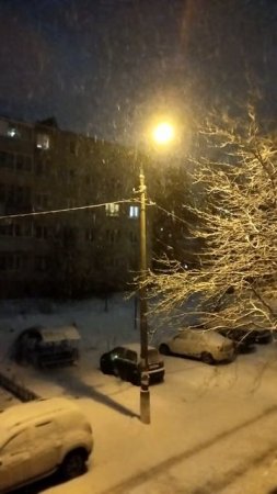 PXL_20241216_171246491