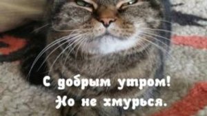 Доброе утро!Не хмурься,печаль отпусти!