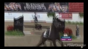 Конный спорт