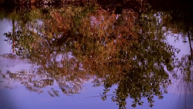 Грузия Лагодехи