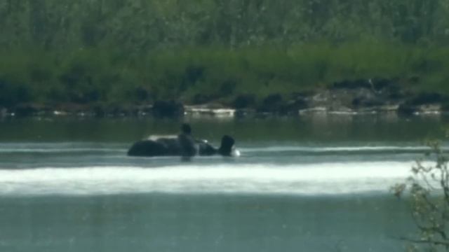 ЛЮДИ ПЛАТО ПУТОРАНА смотреть онлайн