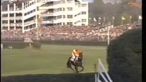 буденновец Эрудит выигрывает Большой Пардубицкий стипль чез 1994