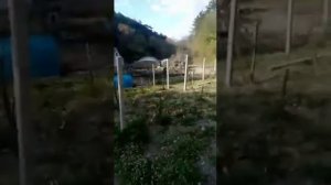 Крым. Севастополь. село Терновка. Спасо-Преображенски?