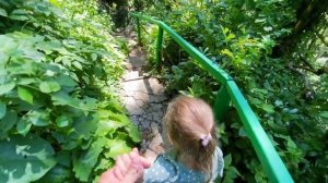 Сочи: Бархатные сезоны и Белые скалы. Абхазия, часть 0