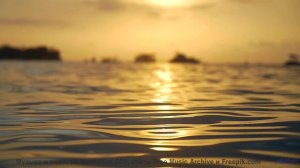 Леса и поля под этот трек - взрыв ощущений - Бабушки -- Александр Недугин -- Министерва Любви