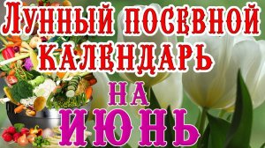 🍅ЛУННЫЙ ПОСЕВНОЙ КАЛЕНДАРЬ НА ИЮНЬ 2025 🌕 LUNAR SOWING CALENDAR 🌙 FOR JUNE 2025
