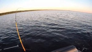 2022ГОД. ОЗЕРО ЛАЧА. БЫТ И РЫБАЛКА. ВЫПАЛ ИЗ ЛОДКИ РАДИ ЭК