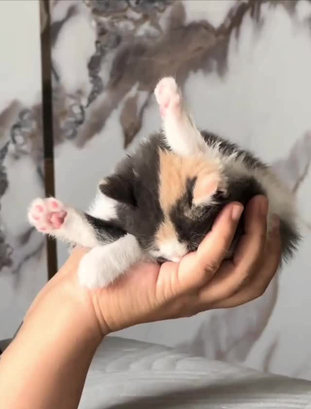 Подпишись 👉 https://vk.com/ykrasheniy_iz_kamny