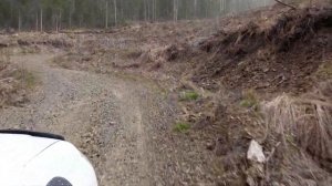 ЛЭПка май 2022 ZATOn 4x4