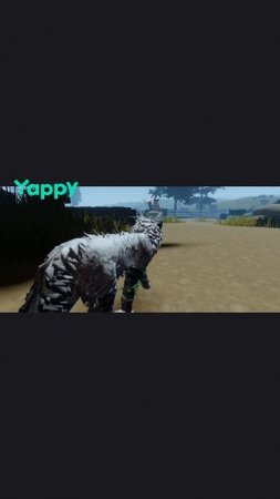 1000006979.mp4