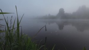У жерлицы