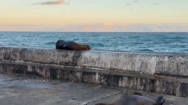 Кейптаун Enjoy Your Life. Часть 1 смотреть онлайн
