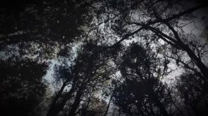 ПАРКОВЫЙ РЕЙНДЖЕР Раскрывает Ужасающий СЕКРЕТ Йеллоу