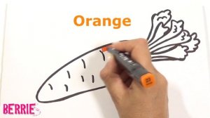 Морковка - рисунок раскраска для детей - рисуем и раскрашиваем морковку | Color&Berries