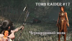Tomb Raider 17 серия - Черногривый волк