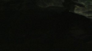 Экскурсия в Кунгурской пещере