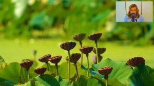 💗История и Рассказ | Измена Жены на базе Отдыха. Корпо