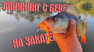 СПИННИНГ С БЕРЕГА НА ЗАКАТЕ! УДАЧНАЯ ВЕЧЕРНЯЯ РЫБАЛКА