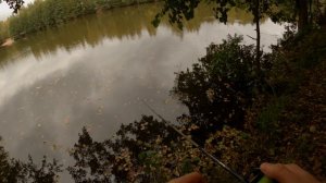 кастинг Norstreаm Skald 702MMH