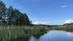 Река между Белгородской и Курской областью