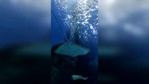 Владивосток часть 1