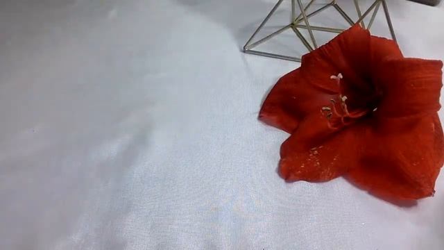 👀🌹ЕГО ДЕЙСТВИЯ ЕСЛИ ТЫ ДИСТАНЦИРУЕШЬСЯ ОТ НЕГО ? ТАРО