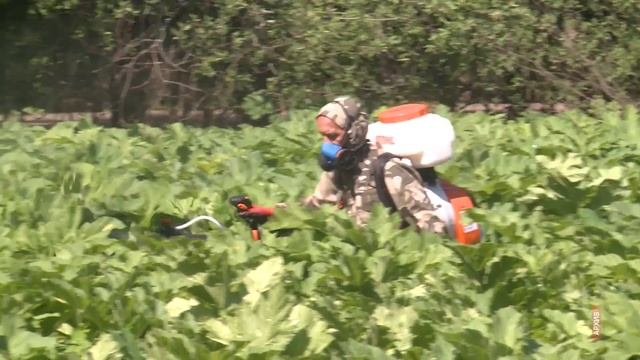 Главные телевизионные новости Ярославля 17 04 25 смотреть онлайн