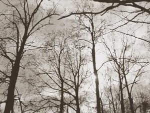 март (часть вторая)