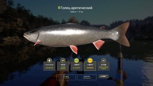 Русская рыбвлка 4. Озеро Куори. Битва на ультралайт. Голец арктический