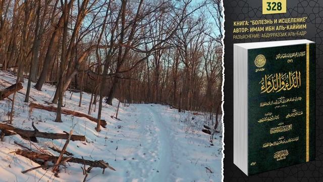 Размышление о видимых знамениях Аллаха | Болезнь и исцеление | №328
