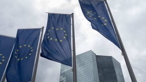 Менцер: лидеры ЕС затягивают конфликт на Украине ради "спасения своих задниц"