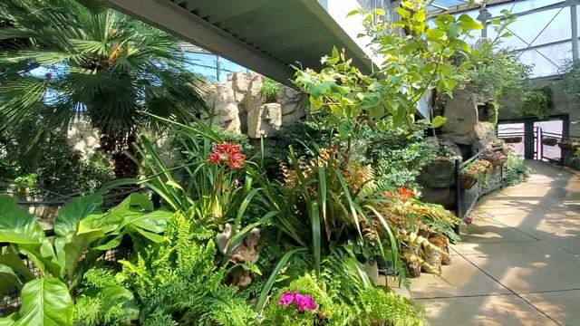 БОТАНИЧЕСКИЙ САД В НЬЮ-МЕКСИКО, США смотреть онлайн