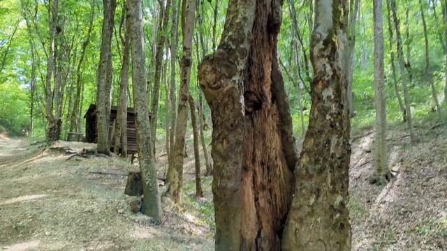 Рука Свободы в Кабардинке Геленджик. Поездка на джипе