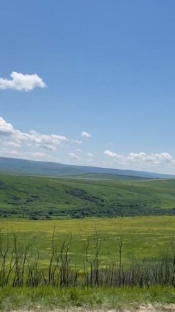 Обои Windows XP в реале!