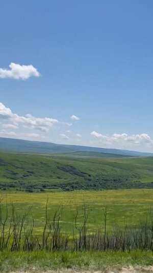 Обои Windows XP в реале!