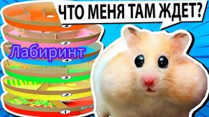 Лабиринт с препятствиями для хомячка🐹🐹🐹