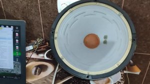 #КиНАП #ЛОМО #самарканд #2А12-У4 #music  Купил пару 2А12-У4.