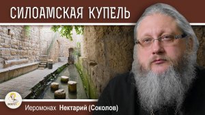 СИЛОАМСКАЯ КУПЕЛЬ. Иеромонах Нектарий (Соколов)