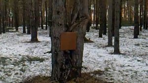 ОСА-4-2 ( 55)  Рекомендую брать