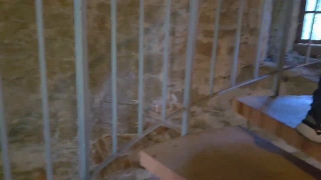 #vlog: 🇩🇪 Знаменитый Schwarzwald | Замок Ortenberg 🕍 Наши красот? смотреть онлайн