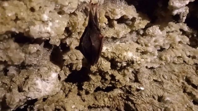 Кришталева печера, Дністровський каньой,Кривче смотреть онлайн