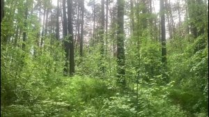 Что нужно рассказать своей дочери о браке . Суровая правда