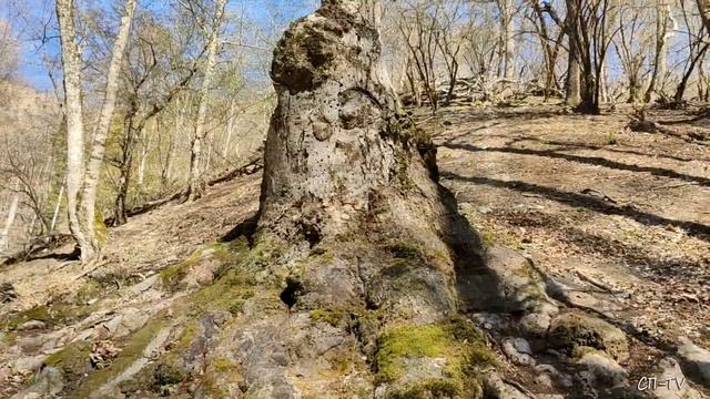 Хайрахташ-Дере. Водопад и Сквозной Грот под Бабуганом смотреть онлайн