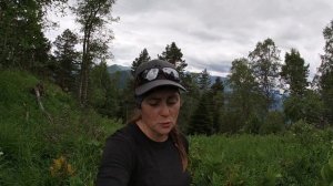 Поход на озеро Скотта Нереально заросшие тропы и олен?