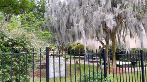 Штат Северная Каролина. Город Уилмингтон.