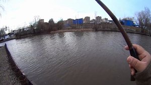 С танаго за уклейкой. Ловлю поплавочной снастью в стиле ТАНАГО. Поплавок 0.4гр. в шквалистый ветер.