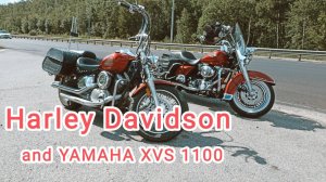 Harley and Yamaha XVS 1100 , решили проветриться